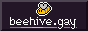 behive.gay